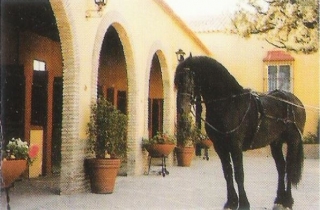 Nuestras instalaciones